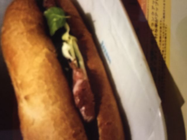 hg[R[q[ł_hg[R[q[Vbv_ˑwa@X