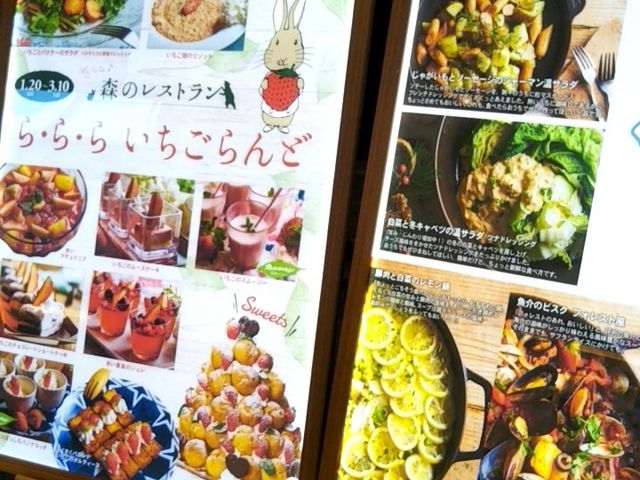 wubtF U tHXg ہ[ TOKYO|BAYxB_ubtF U tHXg ہ[ TOKYO-BAY