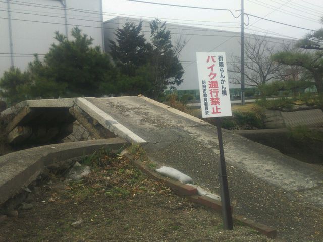 ��������̞e�z��񂩂񋴂̓��e�ʐ^1