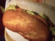 񂯂񂳂̃hg[R[q[Vbv_ˎO{kX̓eʐ^1