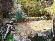 ˂񂳂̓瓇˗q̓eʐ^2