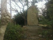 ��������̎O�c�K�l���Ղ̓��e�ʐ^1