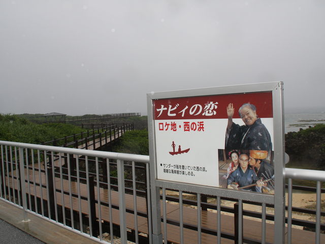 �����E�i�r�B�̗��̃��P�n_������