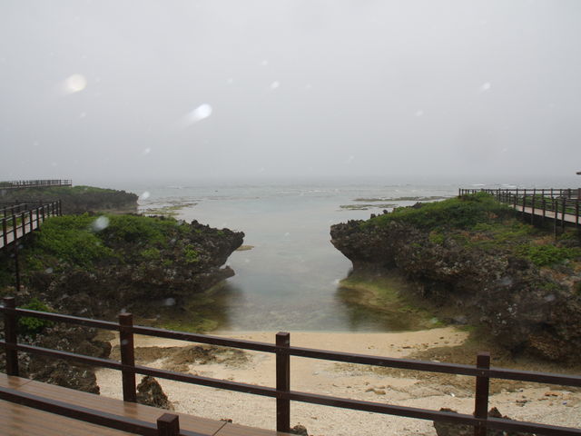 �����E�i�r�B�̗��A�D�o�����Ƃ�_������