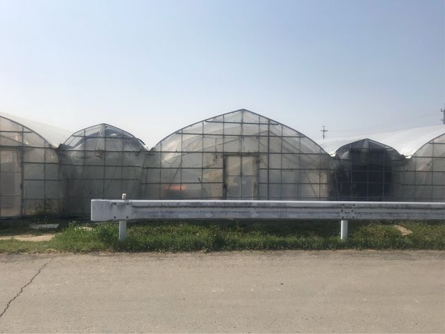 �������񂠂�n�E�X_���c�_��