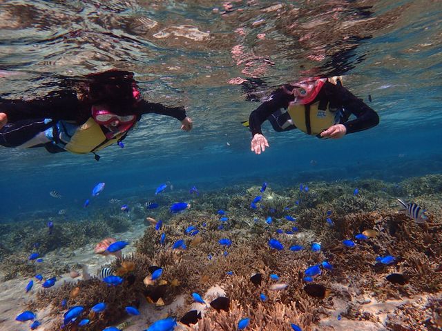 �Y��ȋ������ɉa�������邱�Ƃ��ł��āA�K�������ς��Ȗ������ł��B_�V���m�[�P�����{�@�I�L�i��