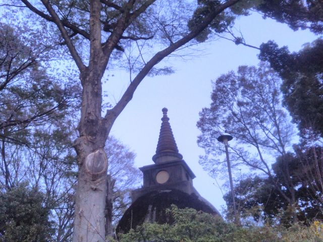 �啧�R�̏��啧_���啧