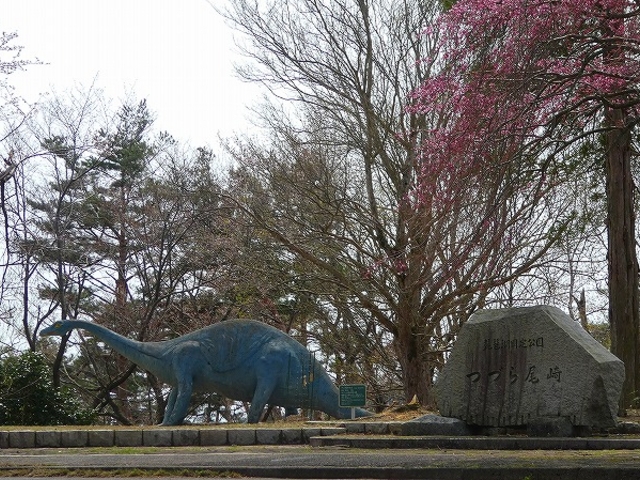 �����i�΃p�[�N�E�F�C�Â����W�]�� �����e�B�v���h�N�X_�����i�΃p�[�N�E�F�C�Â����W�]��