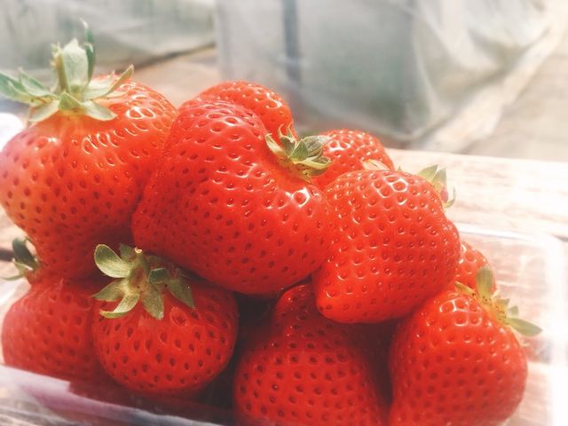 �^���ԂȂ������B
�������������B_���c�t�@�[���@�x���[��