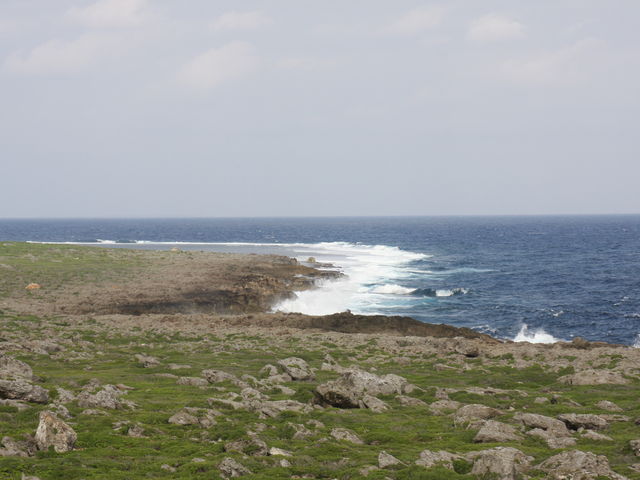 �g�ƊԁE���ߍ�_���ߍ�