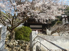 umesanさんの長生寺への投稿写真1