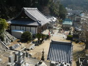 umesan����̒������̓��e�ʐ^1