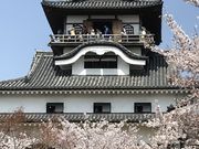 �V�g������̖ؑ]��͔Ȍ��R��̍��̓��e�ʐ^1