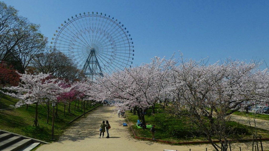 大阪 桜の名所選 おすすめスポットで桜を楽しもう 開花見頃予想も じゃらんニュース