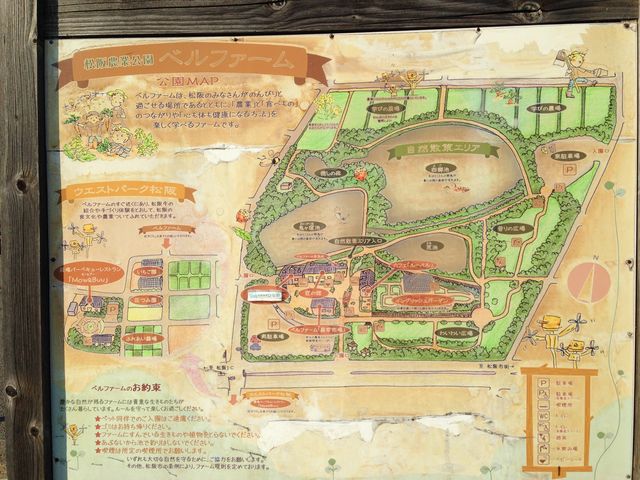 �}_����_�ƌ����x���t�@�[��