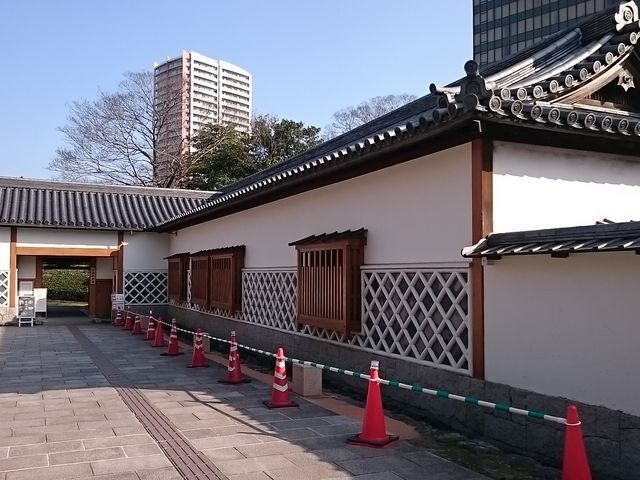 ����_���q��뉀