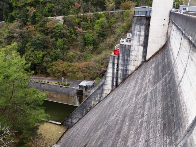 �������̗��ꂪ�ɒ[�ɏ����������̂���ۓI�B_�����_��