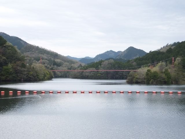 �_���΁F�قږ������_�����_��