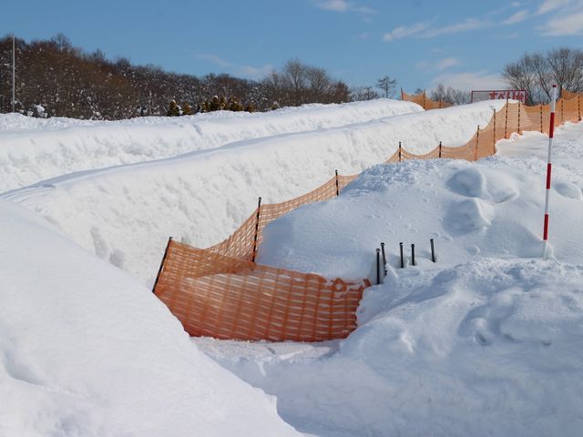 ���ׂ��_�k�C���q�ǂ��̍�