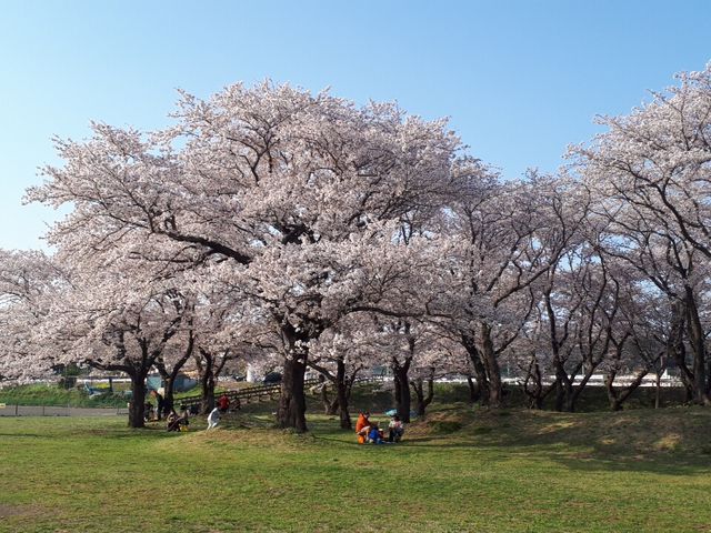 ��{���N�L��̍�!_��{���N�L��̍�