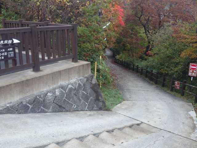 ꂨ񂳂̖k򗷊ق̓eʐ^2