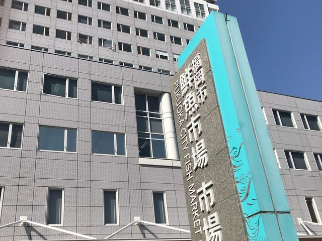 �O��_�����s�N���s��s����