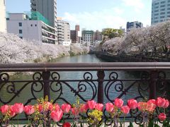 天神中央公園の写真一覧 じゃらんnet