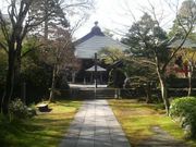 Ƃ񂳂̑YR󋾎̓eʐ^4