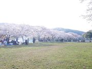 h`bN̍{NL̍̓eʐ^5