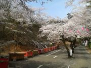 ���Ƃ��񂳂�̔юR�ω��̍��̓��e�ʐ^1