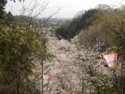 ���Ƃ��񂳂�̔юR�ω��̍��̓��e�ʐ^2