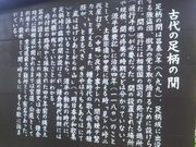 Ƃ񂳂̑̊֐Ղ̓eʐ^1