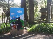 Ƃ񂳂̑̊֐Ղ̓eʐ^3