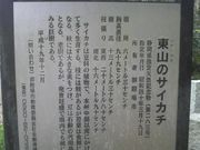 Ƃ񂳂̓R̃TCJ`̓eʐ^1