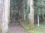 Ƃ񂳂̓񉪐_Ђ̓eʐ^3