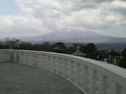 Ƃ񂳂̕xmɗa̓eʐ^4