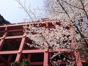 ܂܂̗Sא_Ђ̍̓eʐ^1