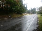 ꂨ񂳂La@terra̓eʐ^10