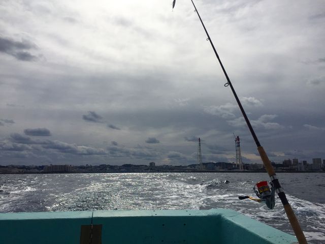 �o���I_���C�����}���������Ȃ�