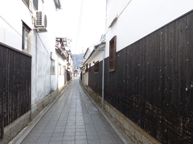 �����̔�_����|�e�{�w�����ƏZ��