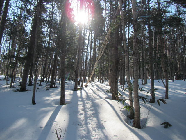 �o�R���t�߂̗ђ�_�C�ʊx