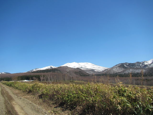 �o�R���t�߂��璭�߂�C�ʊx_�C�ʊx