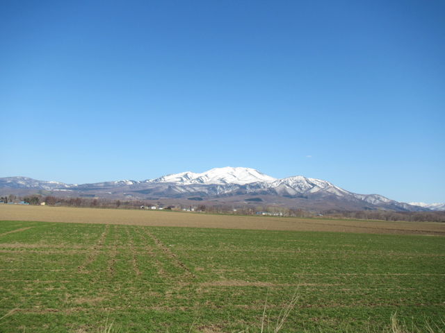 �[�̔_�n���璭�߂�C�ʊx_�C�ʊx