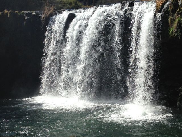 ��ł�_��򎛉���