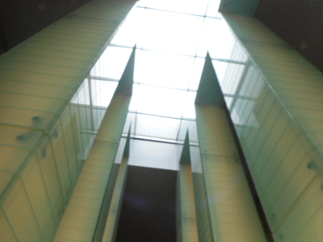 �K���X����̊ٓ�_�������茴�����v�ҒǓ����a�F�O��