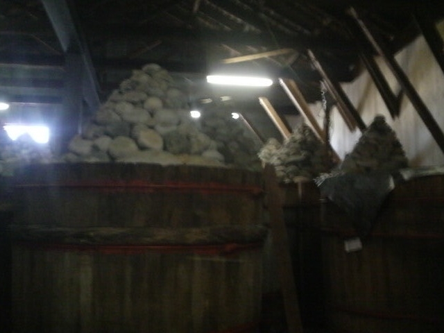 X̓MȂǂĂ炦܂_܂┪X