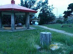 Ԃ񂽂̑Ol_ւ̓eʐ^1