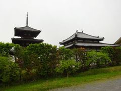 pon񂳂̖@Nւ̓eʐ^1