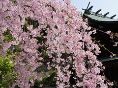 カメチャンさんの川島神社の投稿写真1