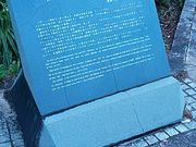 �Ԃ񂽂���̃h�C�c���D����̔�̓��e�ʐ^1